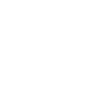 pp6 icon
