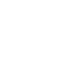 pp6 icon