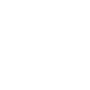 pp6 icon
