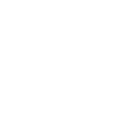 pp6 icon