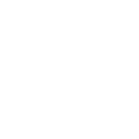 pp6 icon